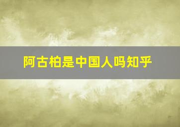 阿古柏是中国人吗知乎