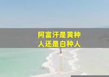 阿富汗是黄种人还是白种人