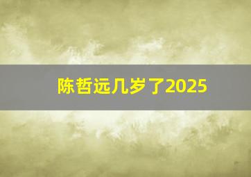 陈哲远几岁了2025