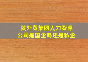 陕外贸集团人力资源公司是国企吗还是私企