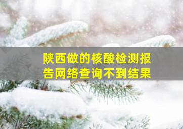 陕西做的核酸检测报告网络查询不到结果