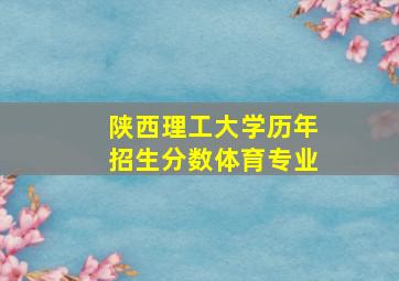 陕西理工大学历年招生分数体育专业