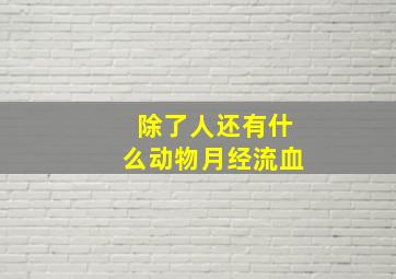 除了人还有什么动物月经流血