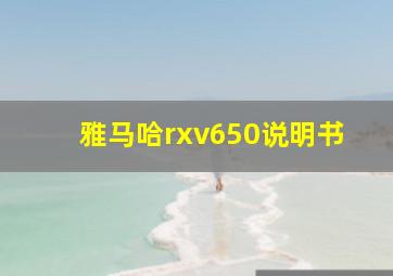 雅马哈rxv650说明书