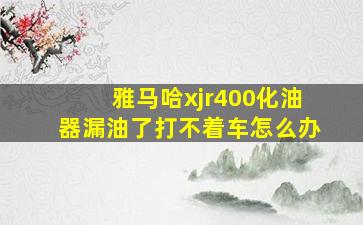 雅马哈xjr400化油器漏油了打不着车怎么办