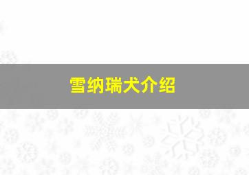 雪纳瑞犬介绍