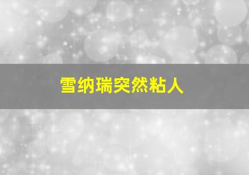 雪纳瑞突然粘人