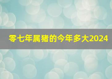 零七年属猪的今年多大2024