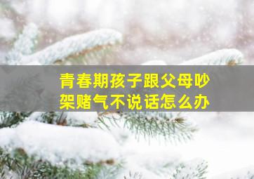 青春期孩子跟父母吵架赌气不说话怎么办