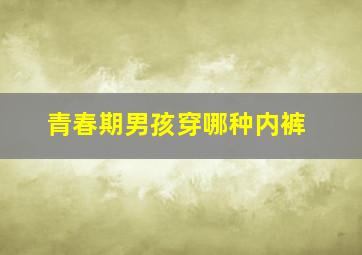 青春期男孩穿哪种内裤