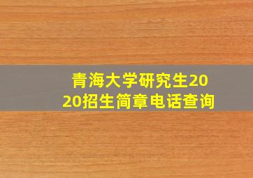 青海大学研究生2020招生简章电话查询