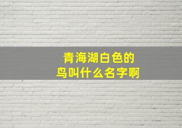 青海湖白色的鸟叫什么名字啊