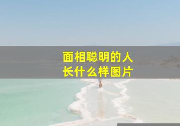 面相聪明的人长什么样图片