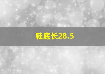 鞋底长28.5