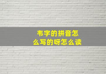 韦字的拼音怎么写的呀怎么读