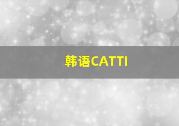 韩语CATTI