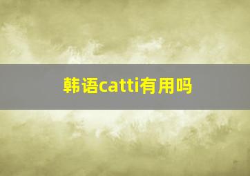 韩语catti有用吗