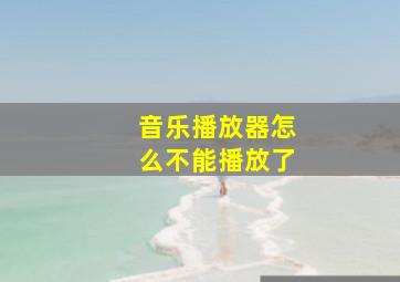 音乐播放器怎么不能播放了