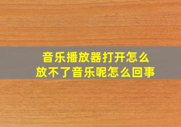 音乐播放器打开怎么放不了音乐呢怎么回事