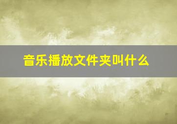 音乐播放文件夹叫什么