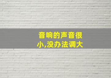 音响的声音很小,没办法调大