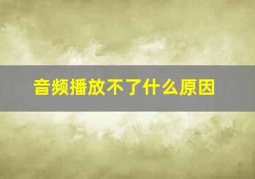 音频播放不了什么原因