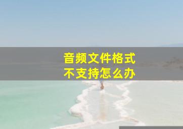 音频文件格式不支持怎么办