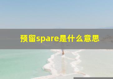 预留spare是什么意思