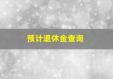 预计退休金查询