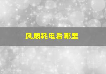 风扇耗电看哪里