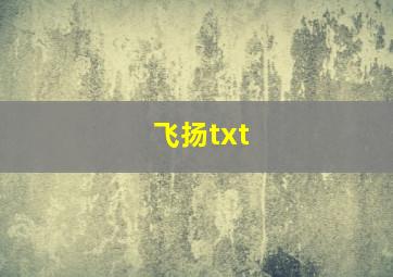 飞扬txt