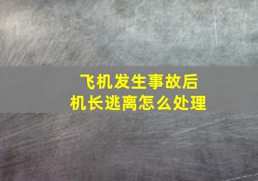 飞机发生事故后机长逃离怎么处理