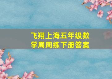 飞翔上海五年级数学周周练下册答案