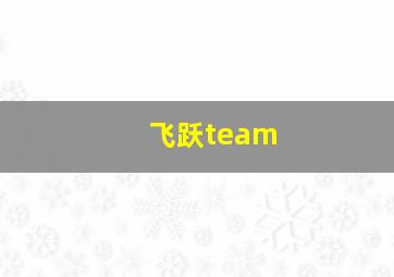 飞跃team