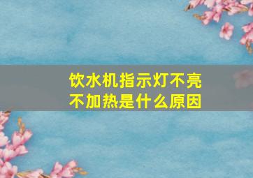 饮水机指示灯不亮不加热是什么原因