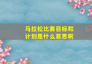 马拉松比赛目标和计划是什么意思啊