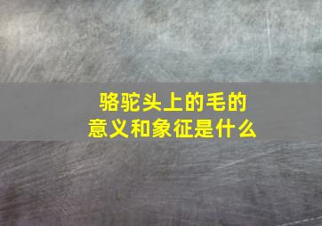 骆驼头上的毛的意义和象征是什么