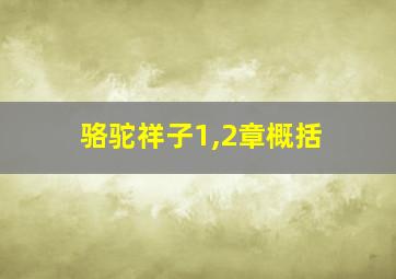 骆驼祥子1,2章概括