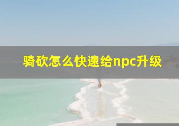 骑砍怎么快速给npc升级