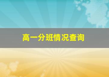 高一分班情况查询