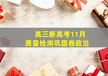 高三新高考11月质量检测巩固卷政治