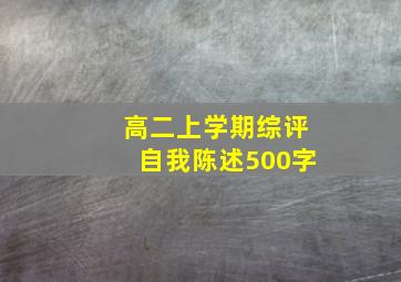 高二上学期综评自我陈述500字