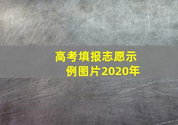 高考填报志愿示例图片2020年