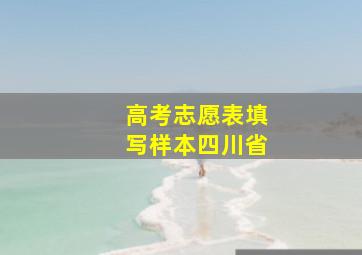 高考志愿表填写样本四川省