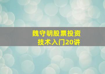 魏守明股票投资技术入门20讲