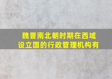 魏晋南北朝时期在西域设立国的行政管理机构有