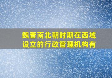 魏晋南北朝时期在西域设立的行政管理机构有