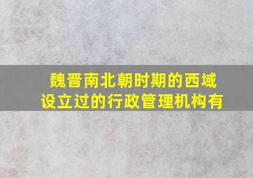 魏晋南北朝时期的西域设立过的行政管理机构有