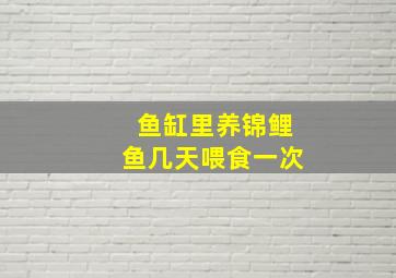 鱼缸里养锦鲤鱼几天喂食一次