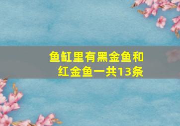 鱼缸里有黑金鱼和红金鱼一共13条